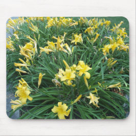 Blume Mousepad