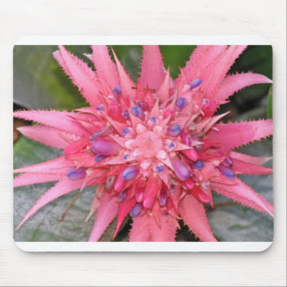 Blume Mousepad