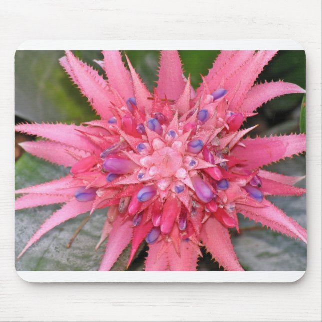 Blume Mousepad (Vorne)