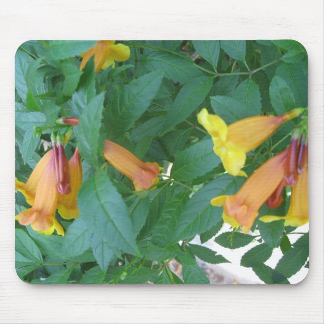 Blume Mousepad (Vorne)