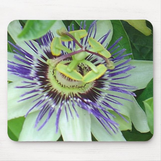 Blume Mousepad (Vorne)