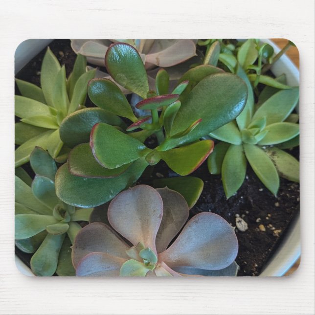 Blume Mousepad (Vorne)