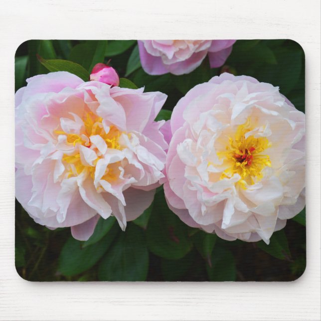 Blume Mousepad (Vorne)