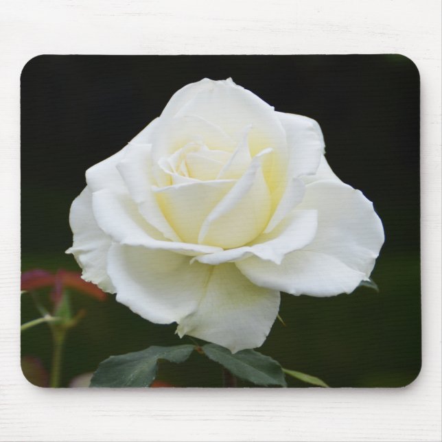 Blume Mousepad (Vorne)