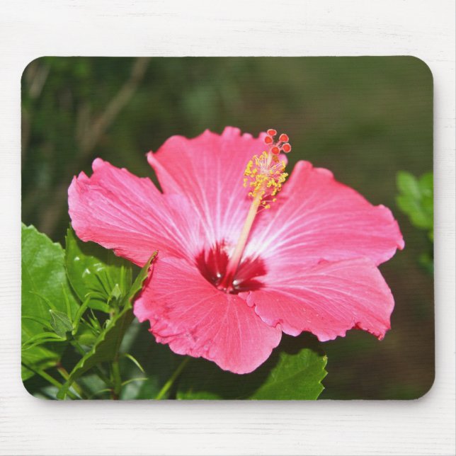 Blume Mousepad (Vorne)