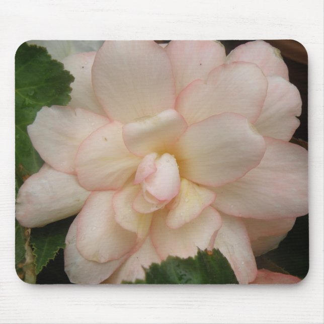 Blume Mousepad (Vorne)