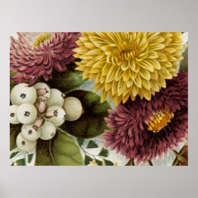 Blume Mum Floral Poster (Vorne)