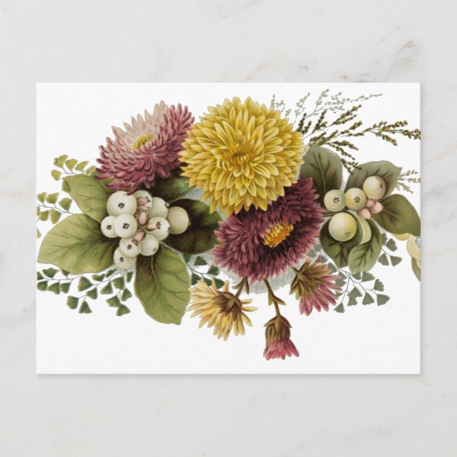 Blume Mum Floral Postkarte (Vorderseite)