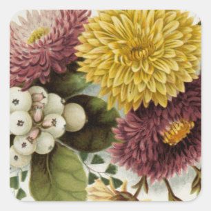 Blume Mum Floral Quadratischer Aufkleber
