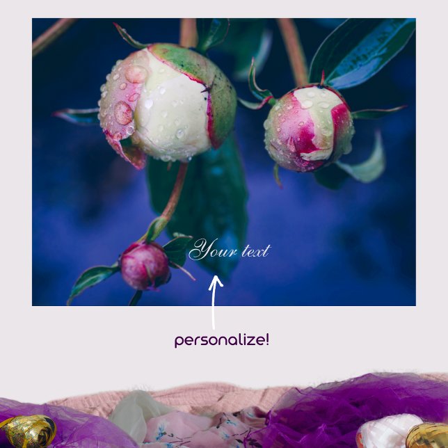 Blume nach Regen Poster (Von Creator hochgeladen)