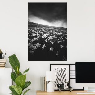 Blume Narcissus auf dem Berg Golica, Slowenien Poster