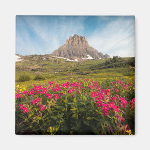 Blume   Nationalpark des Gletschers Montana Magnet