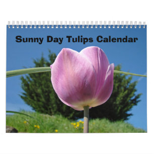 Blume Natur Kalender Sonntag Blume