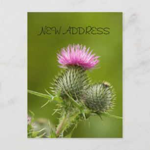 Blume Neue Adresskarte öffnen Ankündigungspostkarte