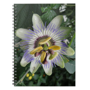 Blume-Notebook Notizblock