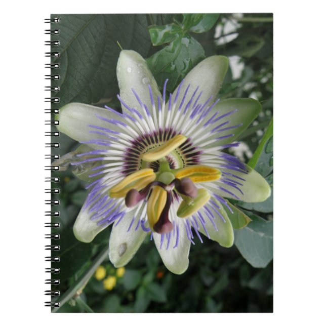 Blume-Notebook Notizblock (Vorderseite)