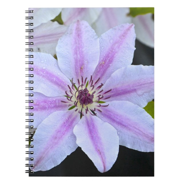 Blume-Notebook Notizblock (Vorderseite)