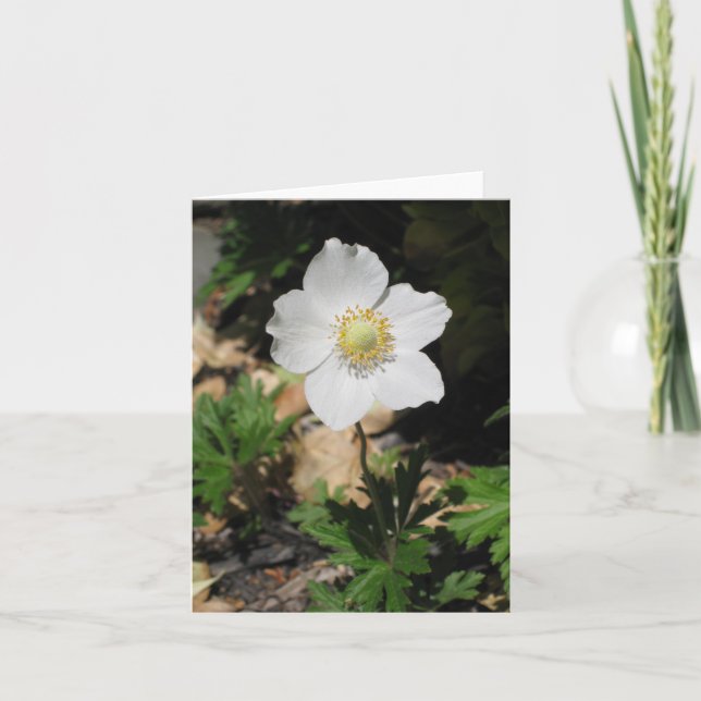 Blume Notecards Karte (Vorderseite)