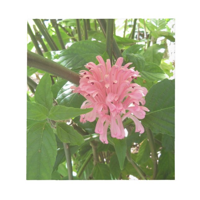 Blume Notizblock (Vorderseite)