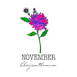 Blume November Chrysanthemum Kissen