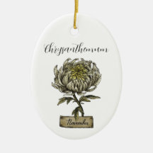 Blume NOVEMBER Geburtstag Chrysanthemum
