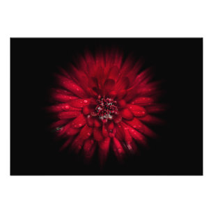 Blume Nr. 45 Farbflussversion Fotodruck