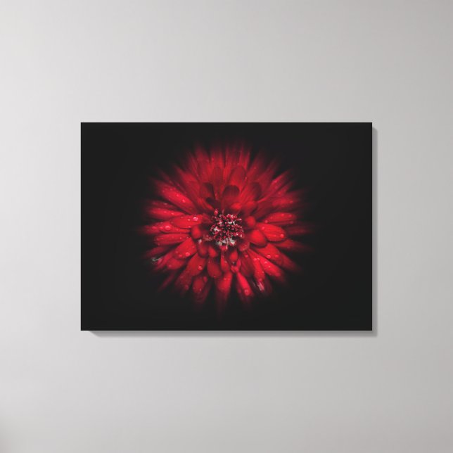 Blume Nr. 45 Farbflussversion Leinwanddruck (Vorderseite)