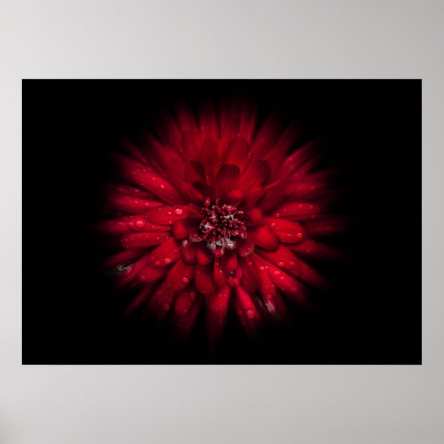 Blume Nr. 45 Farbflussversion Poster (Vorne)