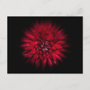 Blume Nr. 45 Farbflussversion Postkarte