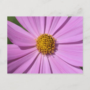Blume Nr. 4 Postkarte