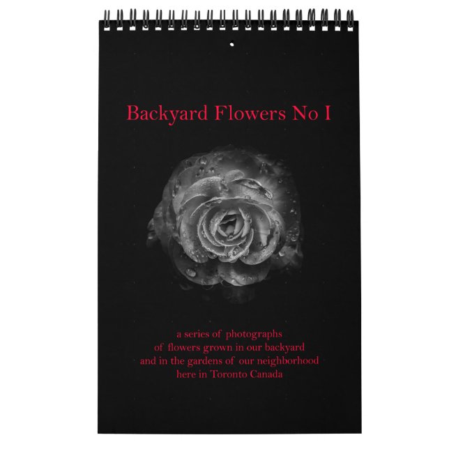 Blume Nr. I Kalender (Titelbild)