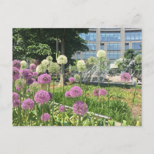 Blume NYC Columbus Circle Fountain Postkarte