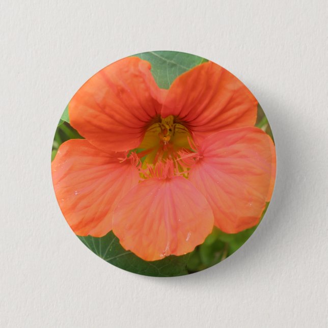 Blume Orange Nasturtium Button (Vorderseite)