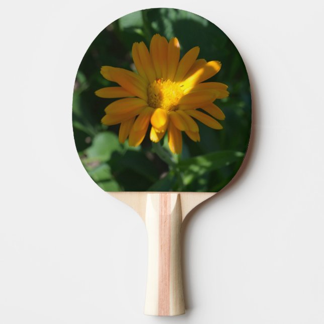 Blume Orange Pot Marigold (Calendula officinalis) Tischtennis Schläger (Vorderseite)