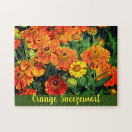 Blume Orange Sneezeweed Helenium Garden Puzzle