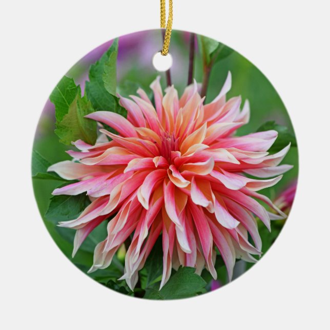 Blume Orange und Pink Dahlia 1. Keramik Ornament (Vorne)