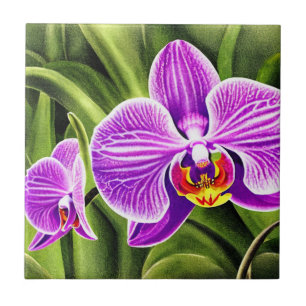 Blume Orchid Decorative Keramik Fliesen