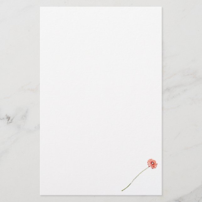 Blume Pale Red Gerbera Briefpapier (Vorderseite)