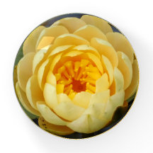 Blume Papergewicht