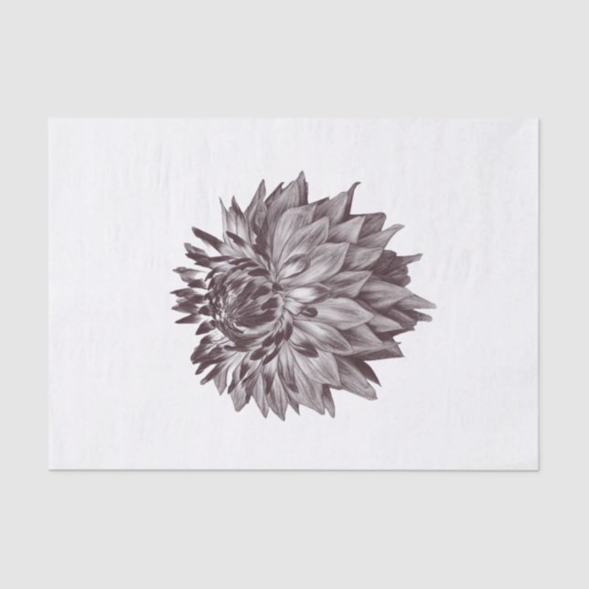 Blume-Papiere für dekorative Kunstgifte Seidenpapier (Vorderseite)