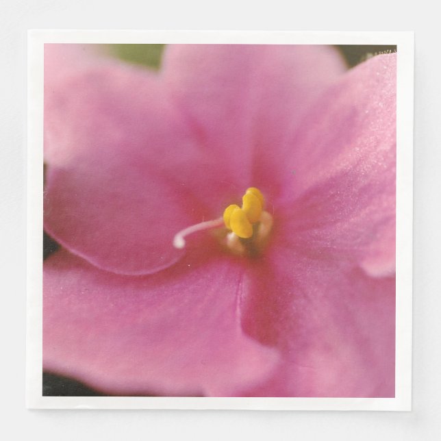 Blume Pastel Pink African Violet (Saintpaulia) Serviette (Vorderseite)