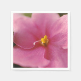 Blume Pastel Pink African Violet (Saintpaulia) Serviette