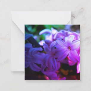 Blume Pastel Pink Hyacinth (Hyacinthus) Mitteilungskarte