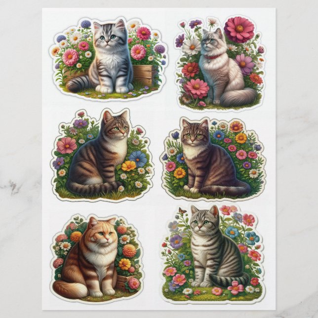 Blume Patch Cat, Kitten Illustration (Vorderseite)