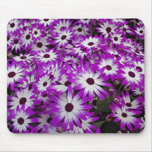 Blume pattern, Kuekenhof Gardens, Lisse, Mousepad
