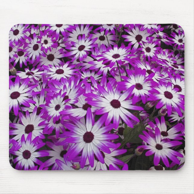 Blume pattern, Kuekenhof Gardens, Lisse, Mousepad (Vorne)