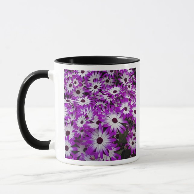 Blume pattern, Kuekenhof Gardens, Lisse, Tasse (Links)