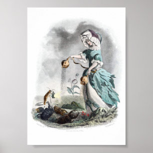 Blume personifiziert - Mohn Poster