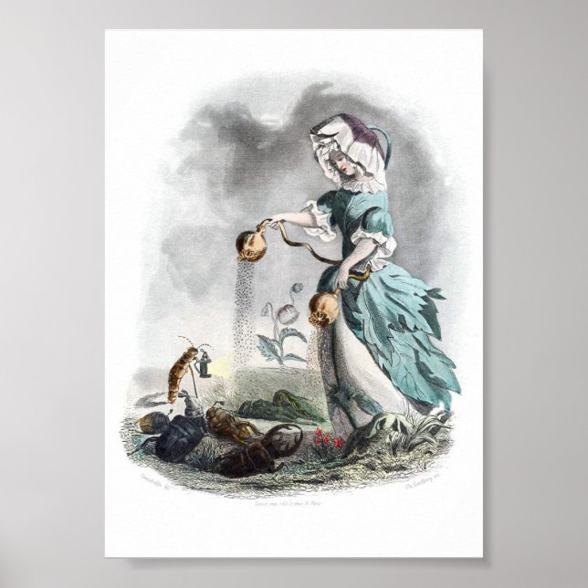 Blume personifiziert - Mohn Poster (Vorne)