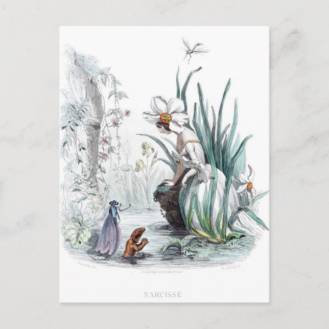 Blume personifiziert postkarte (Vorderseite)